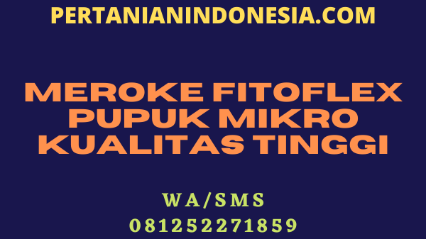 Meroke Fitoflex Pupuk Mikro Kualitas Tinggi